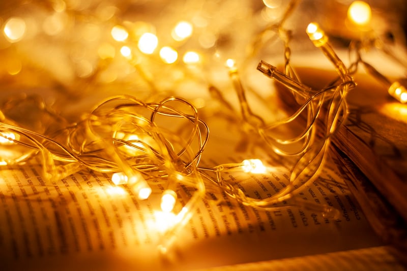 Wedding Fairy Lights